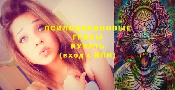 ешки Инсар