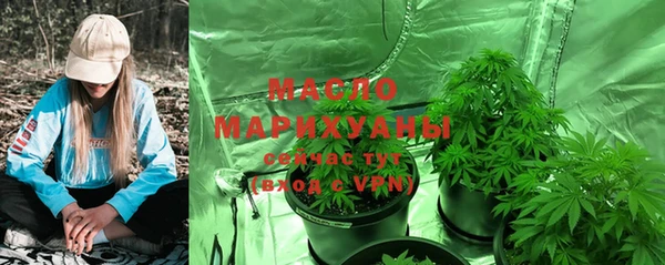 ешки Инсар
