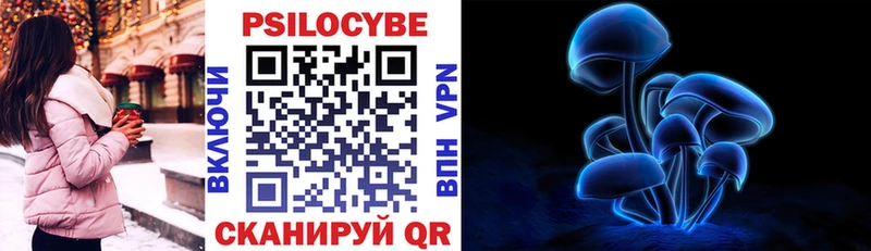 Галлюциногенные грибы Psilocybe  Лесозаводск 
